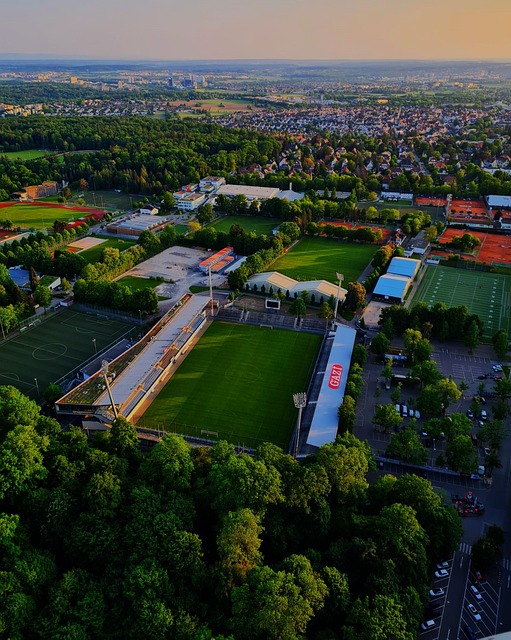 因其稳定的 因其稳定的