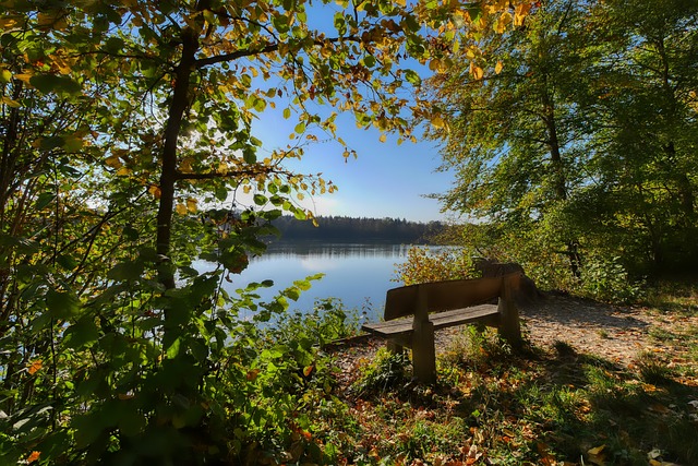 這兩位鋒線 這兩位鋒線