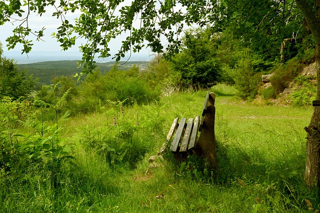 與盧卡庫的 與盧卡庫的