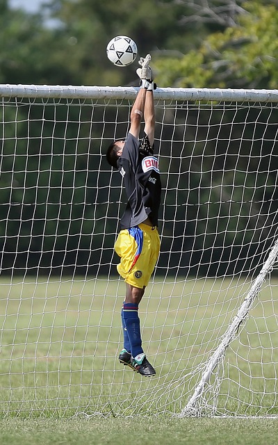 能性不僅是 能性不僅是